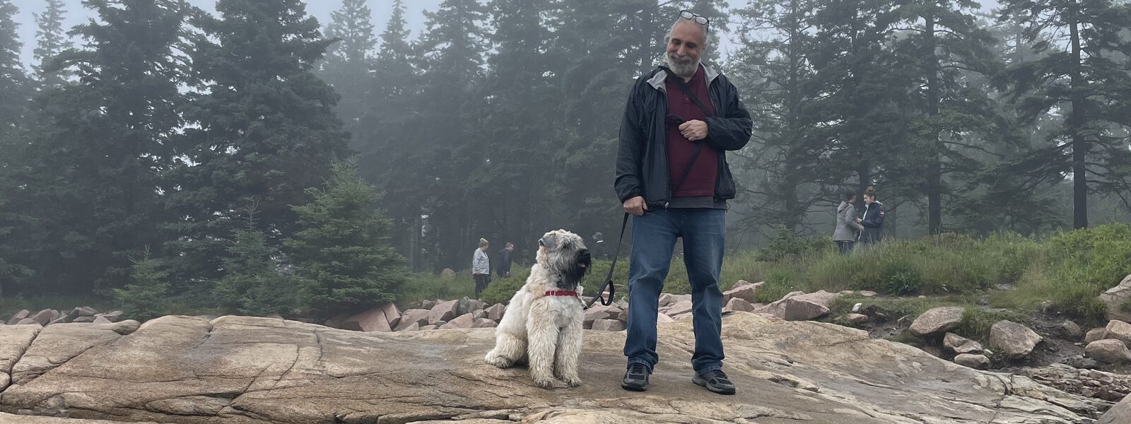 A foggy morning on the coast